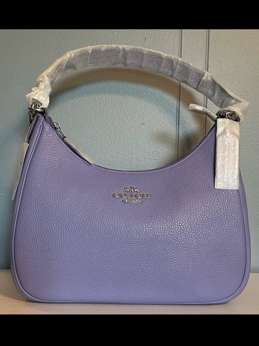 NWT Coach Teri Hobo in Light Violet